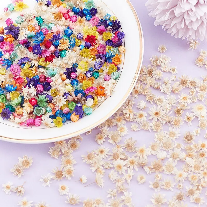 

200pcs Dried Flowers For DIY Epoxy Resin Candle Making Jewellery Glass Filler