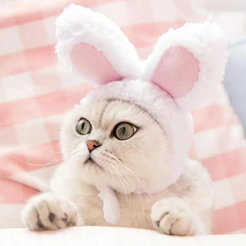 Funny Pet Dog Cat Rabbit Ears Hat Rabbit Wig Costume Winter Warm Puppy Headwear New Year Party Cosplay Clothes Pet Accessories