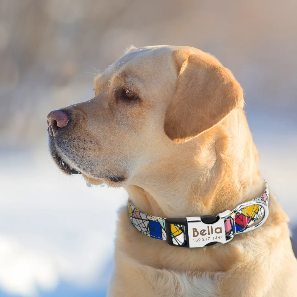 Personalized Nylon Dog Collar Customized Pet Collar Engraved ID Tag Nameplate Buckle for Small Medium Large Dogs Pitbull Pug