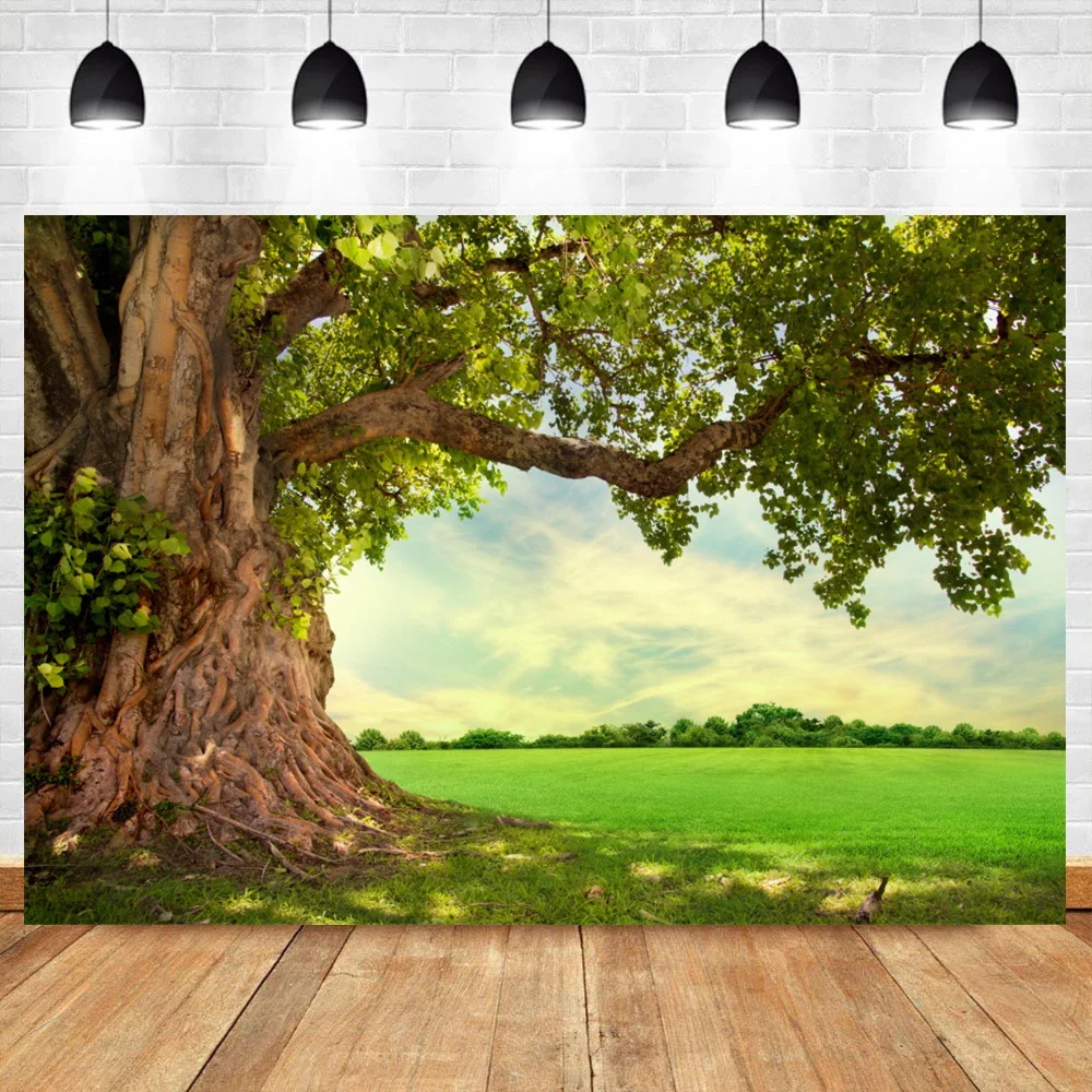 Laeacco Spring Old Tree Green Grass Filed Natural Scenic Photography Backgrounds Poster Photocall Backdrops For Photo Studio