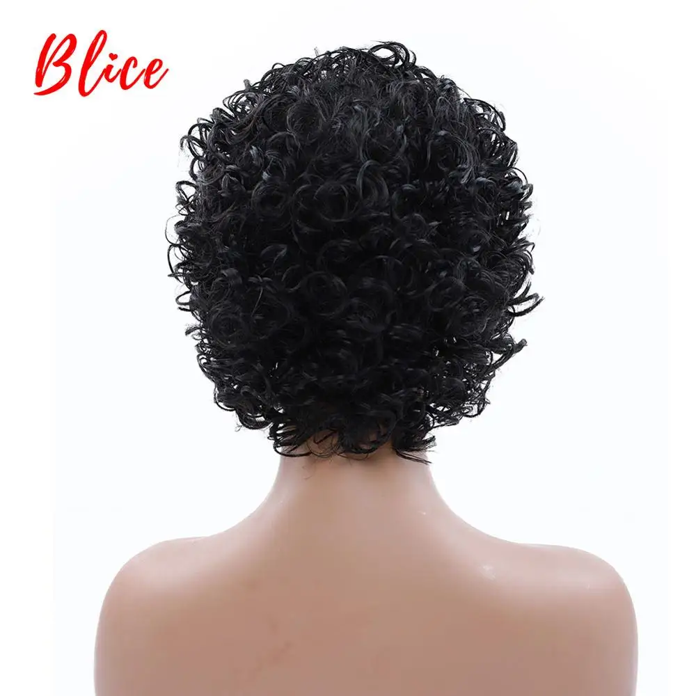 Blice 6 Inch Short Curly  Synthetic Wigs Heat Resistant For Women 100% Kanekalon Daily Party American African Wig