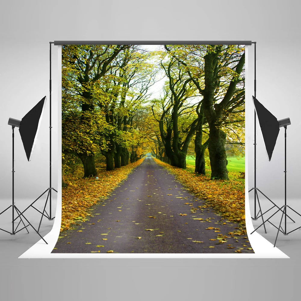 

VinylBDS 10X10FT Autumn Forest Photography Backdrop Leaves Road Backgrounds For Photo Studio