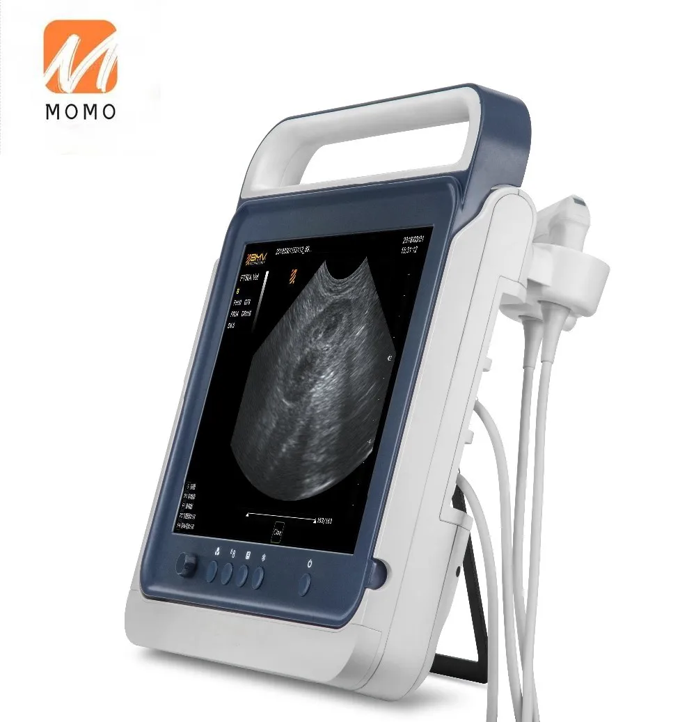 Veterinary Medical Equipment: PT50A Portable Vet  Black and White Ultrasound Scanner for Pets