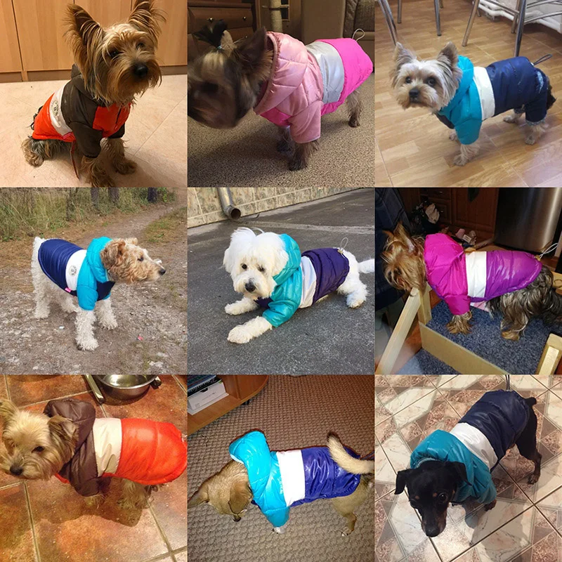 Winter Pet Dogs Clothes Waterproof Hooded Dog Coat Warm Down Jacket Puppy Pet Clothing For Chihuahua French Bulldog Outfits