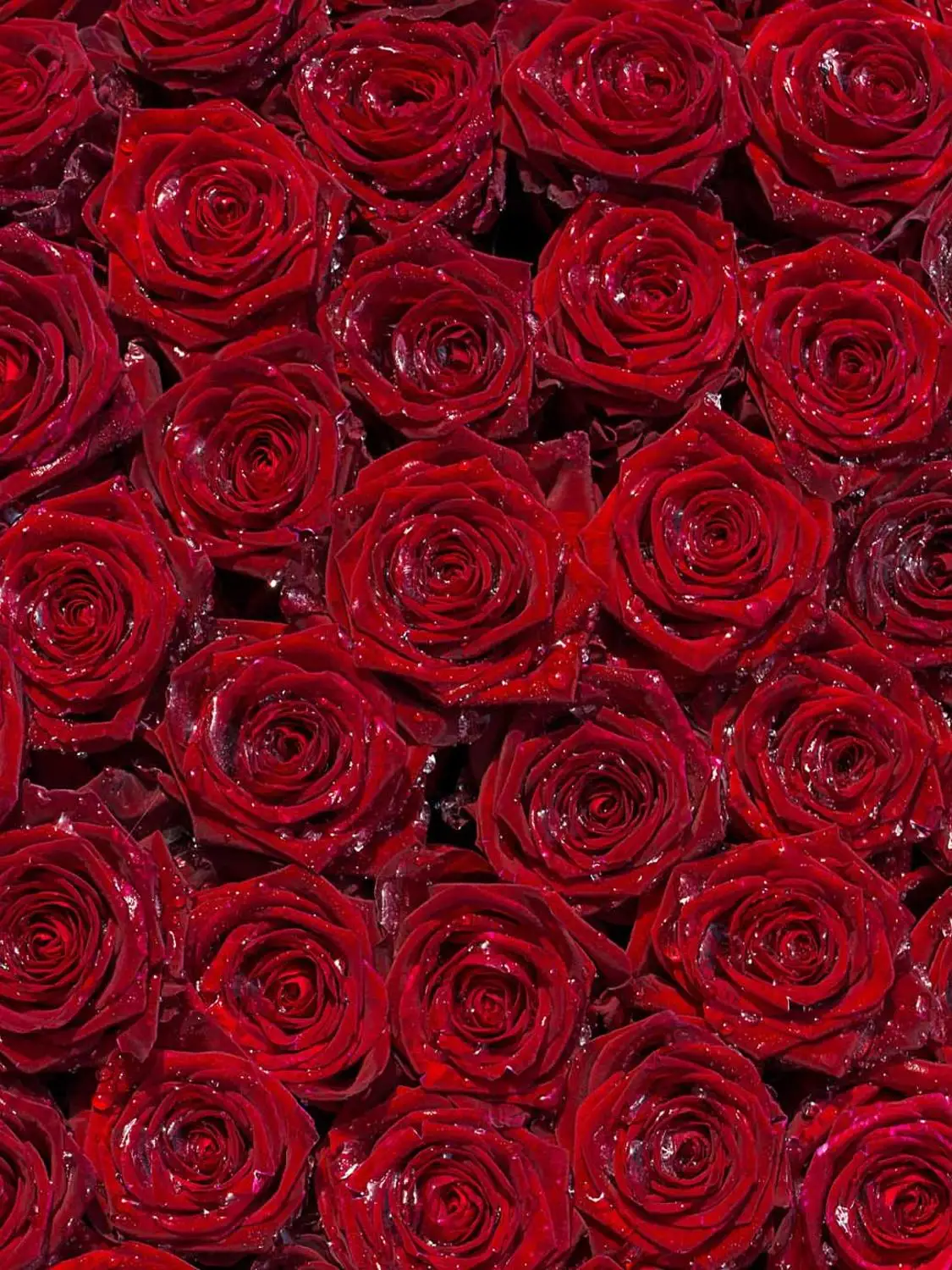 

Dewdrops rose bridal photo backgrounds vinyl red rose wedding photography backdrops for photographer studio accessories S-1801