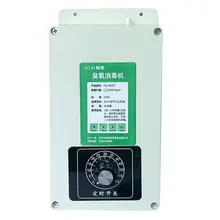 2000mg/h Ozone Generator for Home #2