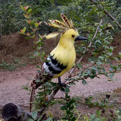 new real life Hoopoe model foam&feather simulation yellow bird gift about 30cm xf2664