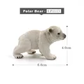 Oso Polar