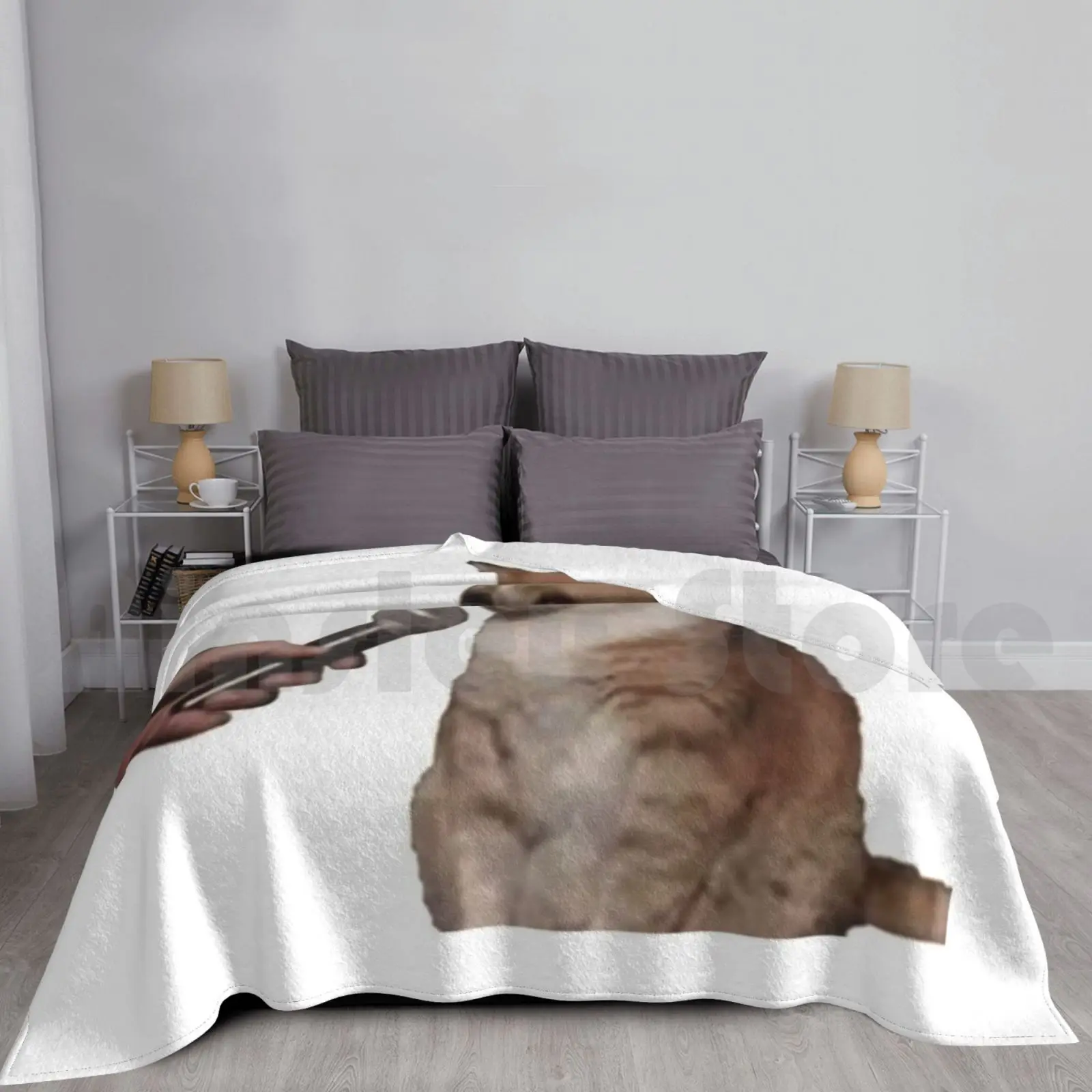 

Song Cat Blanket Fashion Custom Vine Meme Joke Vine Vine Aesthetic Vine Vsco Hurricane Tortilla Stinks
