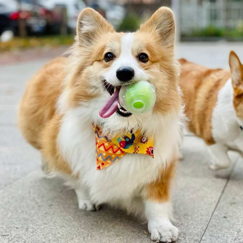 CAITEC Dog Toy Amazing Squeaker Ball Durable Floatable Springy Bite Resistant Best for Tossing Chasing Foraging Medium Large Dog