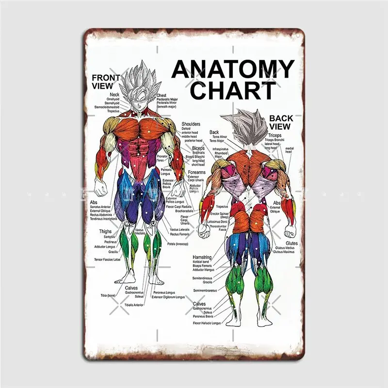 Anatomy Muscle Chart Diagram Metal Sign Plates Club Party Pub Garage Vintage Tin Sign Poster