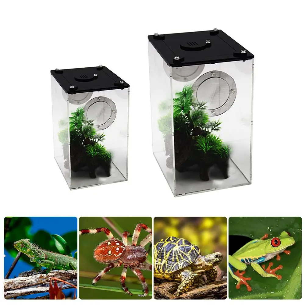 New Acrylic Terrarium Spider Breeding Box Reptile Feeding Box For Climbing Pet Terrarium Snake Spider Lizard Scorpion Centipede