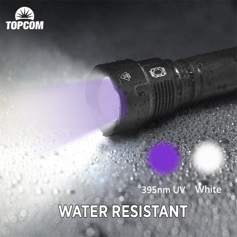 Topcom-Lampe de poche 2 en 1 blanche et UV, 395nm, lumière injuste T6, torche LED, lanterne ultraviolette, détecteur d'urine, lumière noire