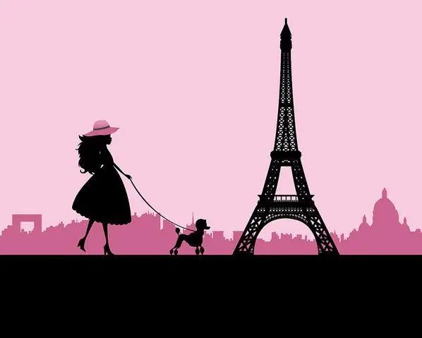 Pink Paris Girl Poodle Eiffel Tower photo backdrop High quality Computer print party photography backgrounds