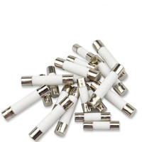 100pcs 6*30 Fast blow Ceramic  6x30mm  250V 0.5A 1A 2A 3A 4A 5A 6A 8A 10A 15A 20A 25A 30A