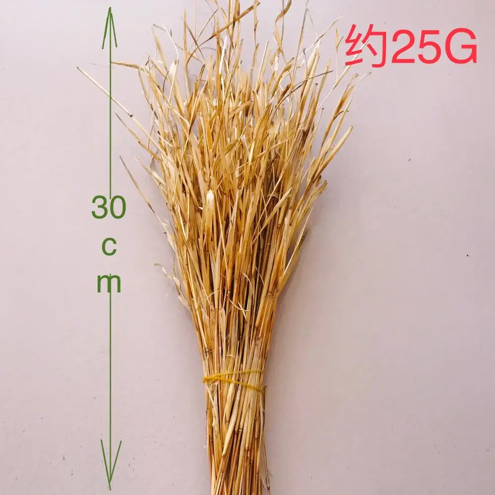 The manual model of grass tufts and grass of Maojian grass is dotted with vegetation, hidden sheltering object model and scene