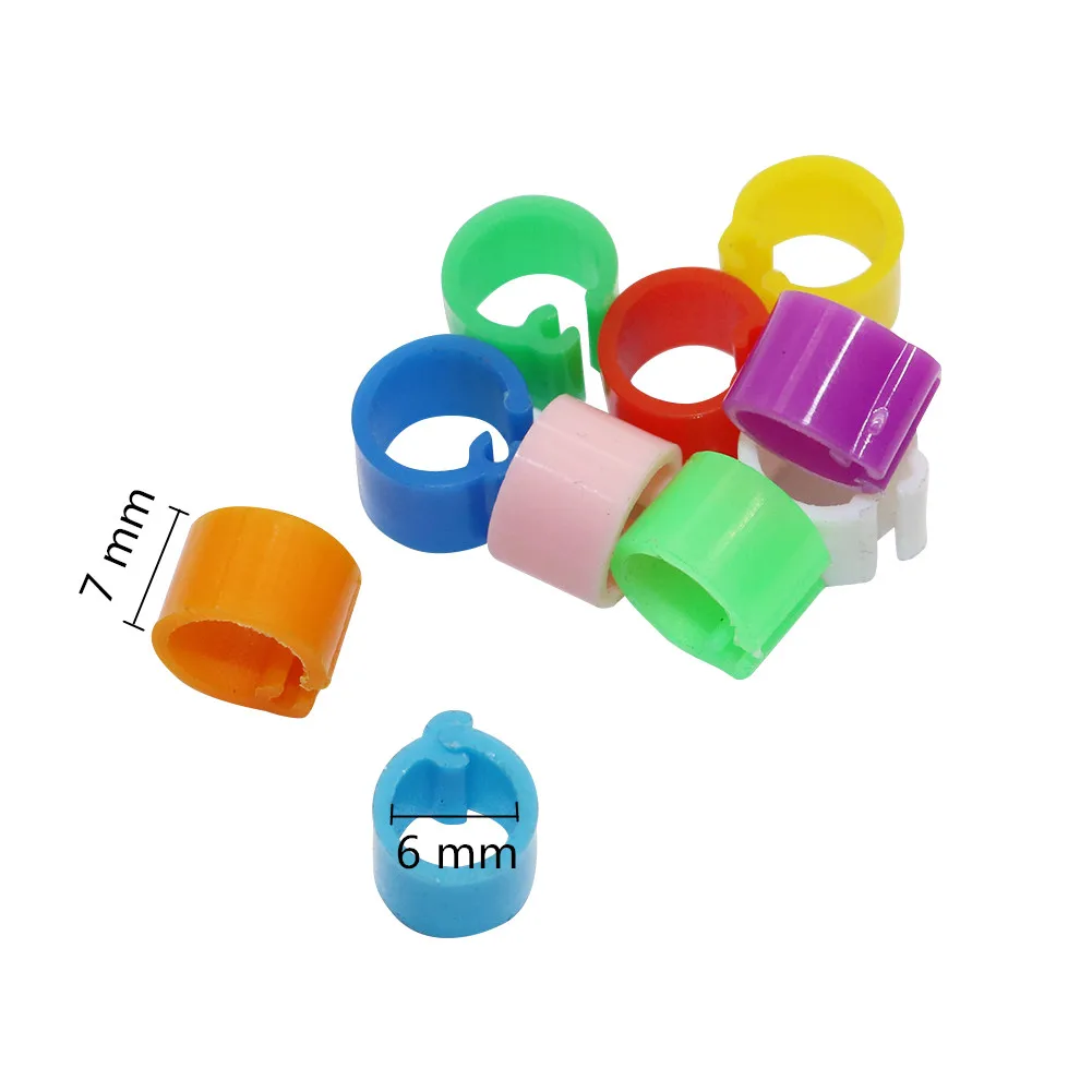 ID 6 mm wide 7mm 10 color bird foot ring plastic clip ring pigeon quail foot ring farm poultry supplies bird supplies 200 Pcs