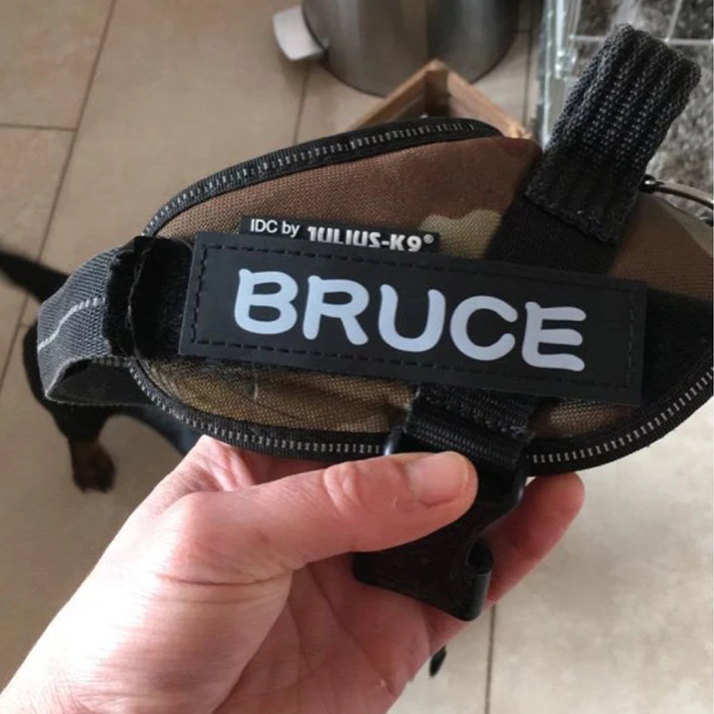 Etiqueta personalizada de PU para nombre de Perro, 2 piezas, para JULUS K9, arnés de identificación