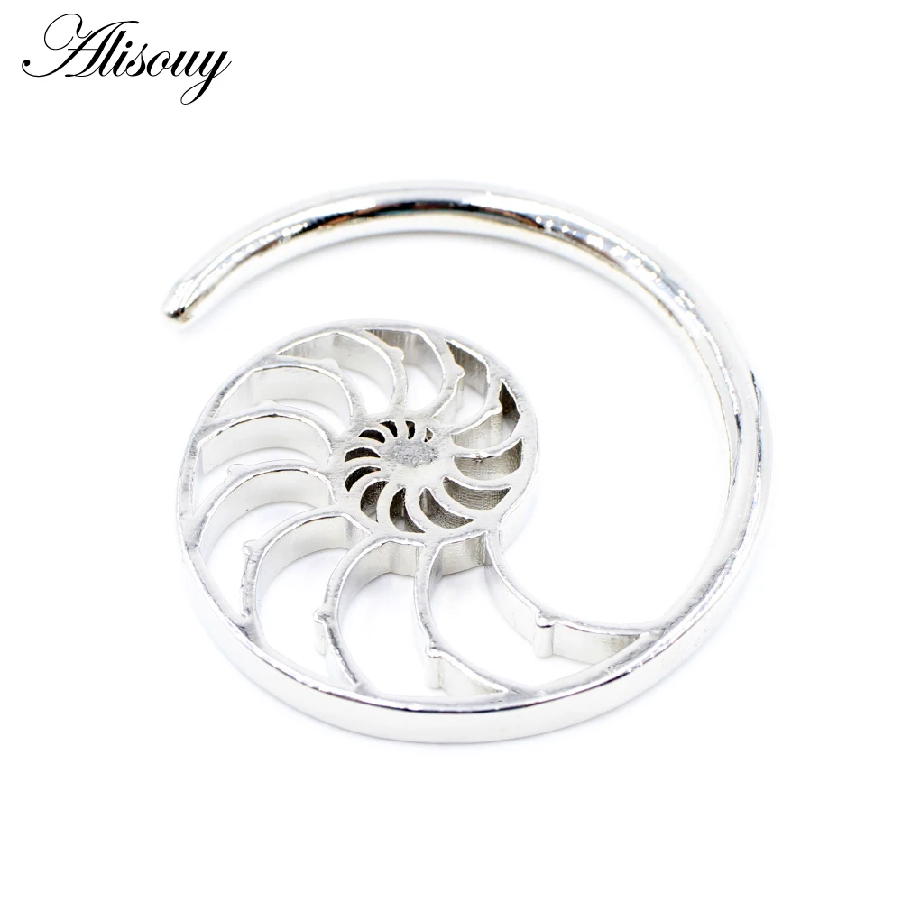 Alisouy 1PC Stainless Steel Hollow Spiral Snail Helix Ear Weights Expander Stretcher Plugs Gauge Earring Body Piercing Jewelry