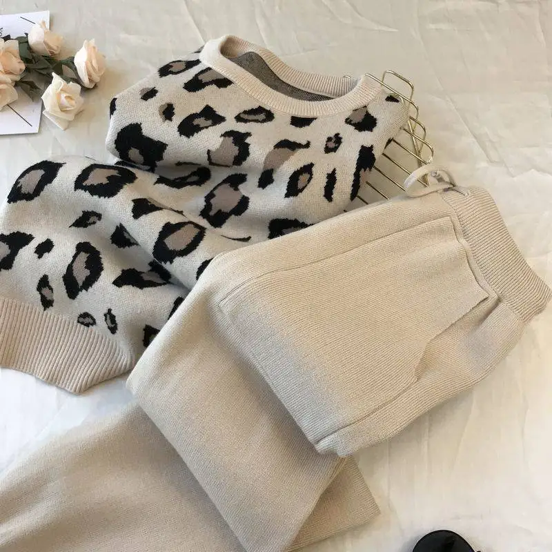 Casual Suit Female Sweatshirt Oversized Leopard Hoodie Outfits Pullover Casual Women\'s Tracksuit Winter Clothes