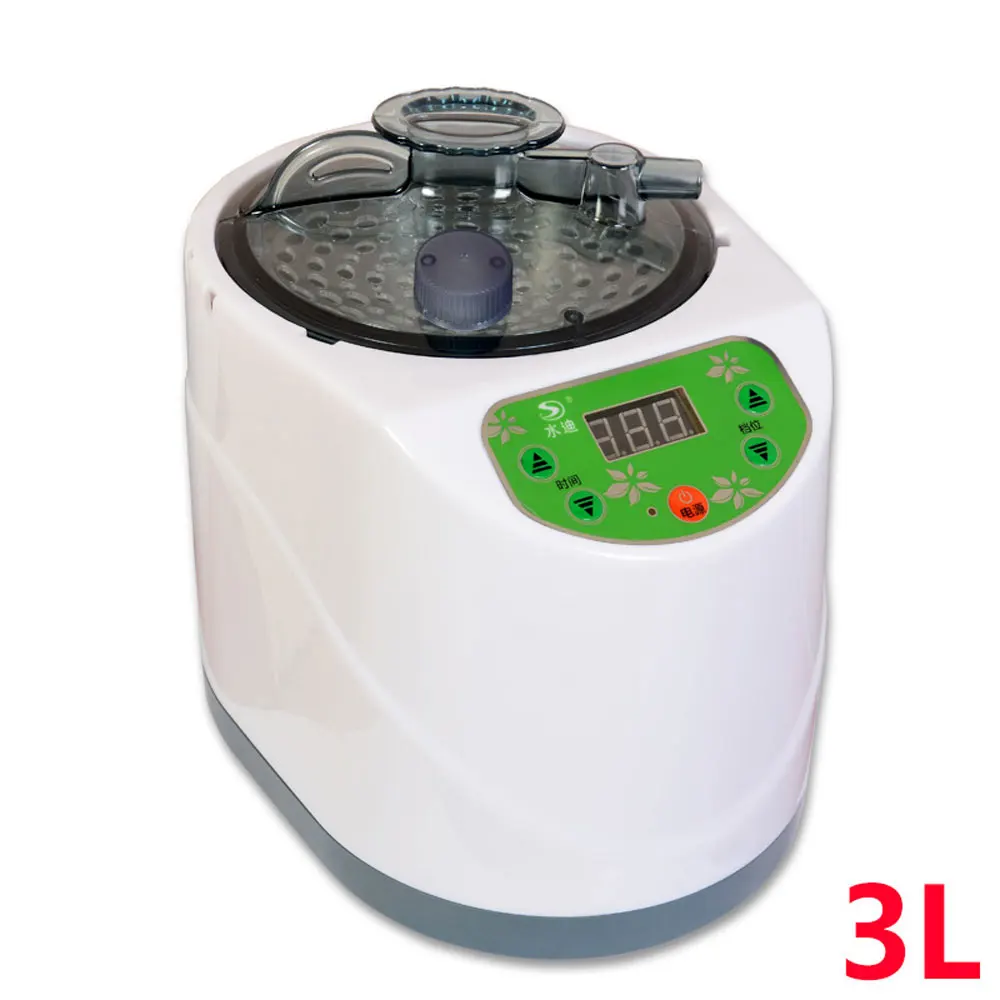 4L Sauna Steamer Household Sauna Generator Fumigation Machine Seamer Stainless Steel Sauna Machine