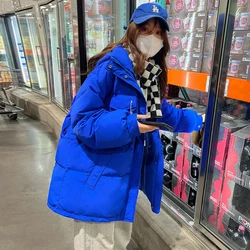 Klein Blue Winter Women's Jacket Down Cotton Jacket Mid-length Cotton Coat Loose Large Size Thicken Warm Women's Quilted Jacket