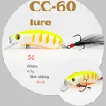 CC60--55