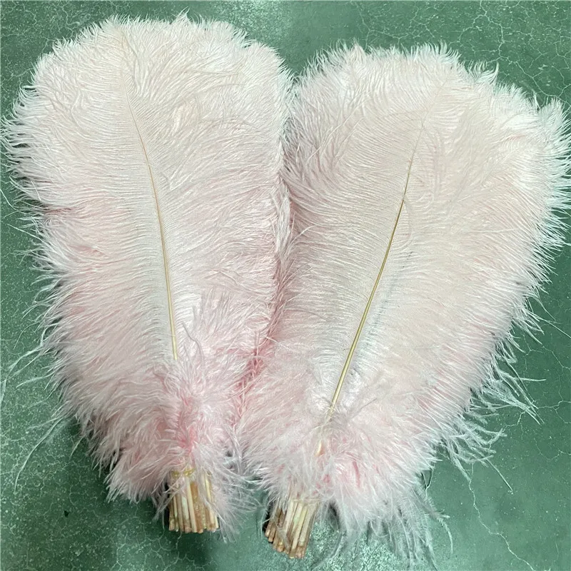 

Wholesale 50-100pcs/lot Fluffy Ostrich Feather 20-22 Inches/50-55cm Decoration for Diy Christmas Plumes Plumas