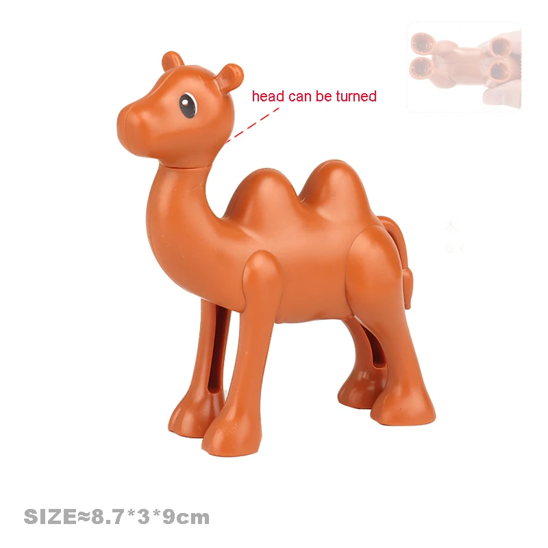 라벤더