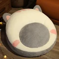 grey cat
