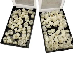 70Pcs/Box Dental Crowns Resin Realistic Dental Crowns Porcelain Temporary Teeth Crown Oral Teeth Whitening Anterior Molar Crown