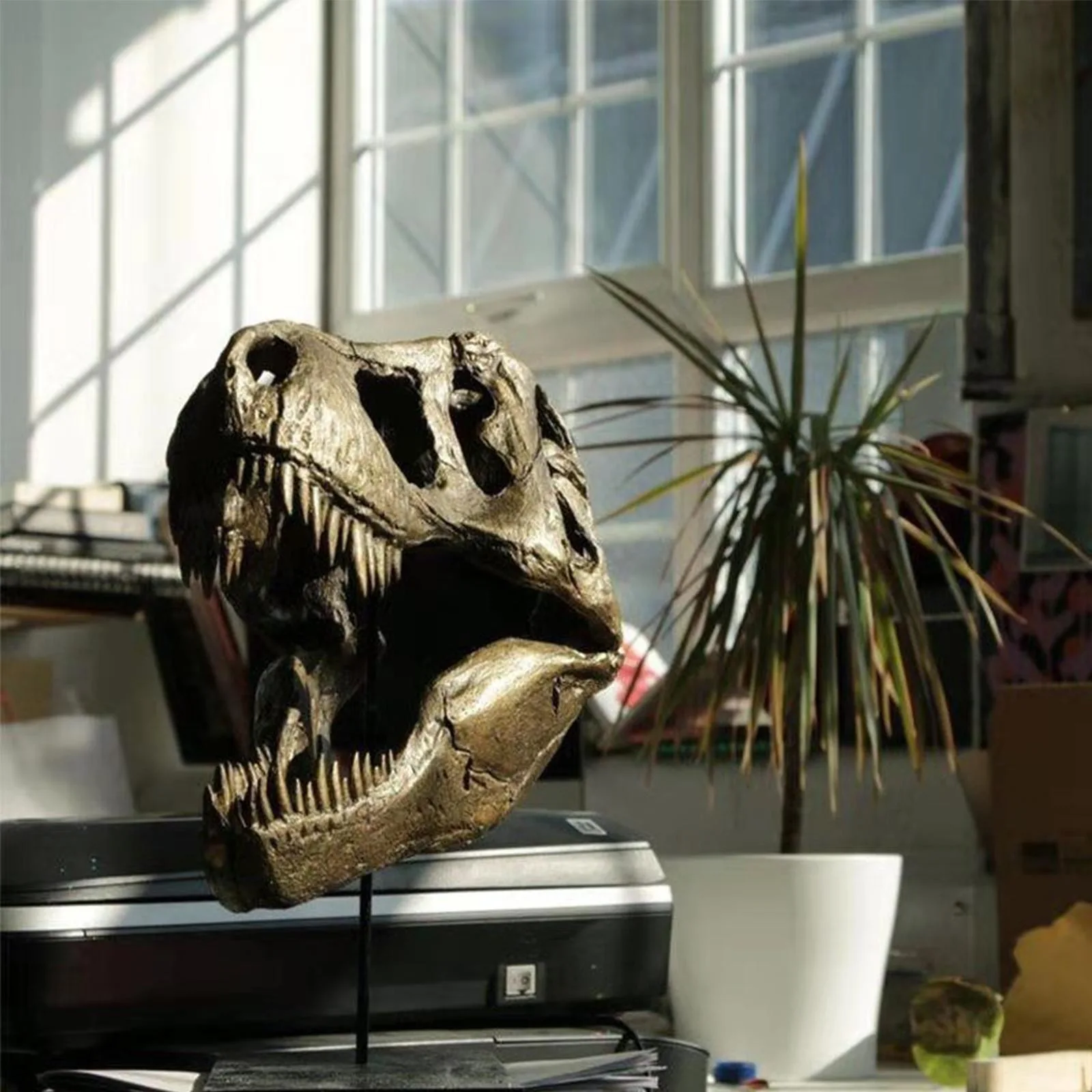 1Pc Crafts Arts Crafts 1/12 Tyrannosaurus Rex Dinosaur Skull Handicrafts Resin Fossil Simulation Skull Model 2023