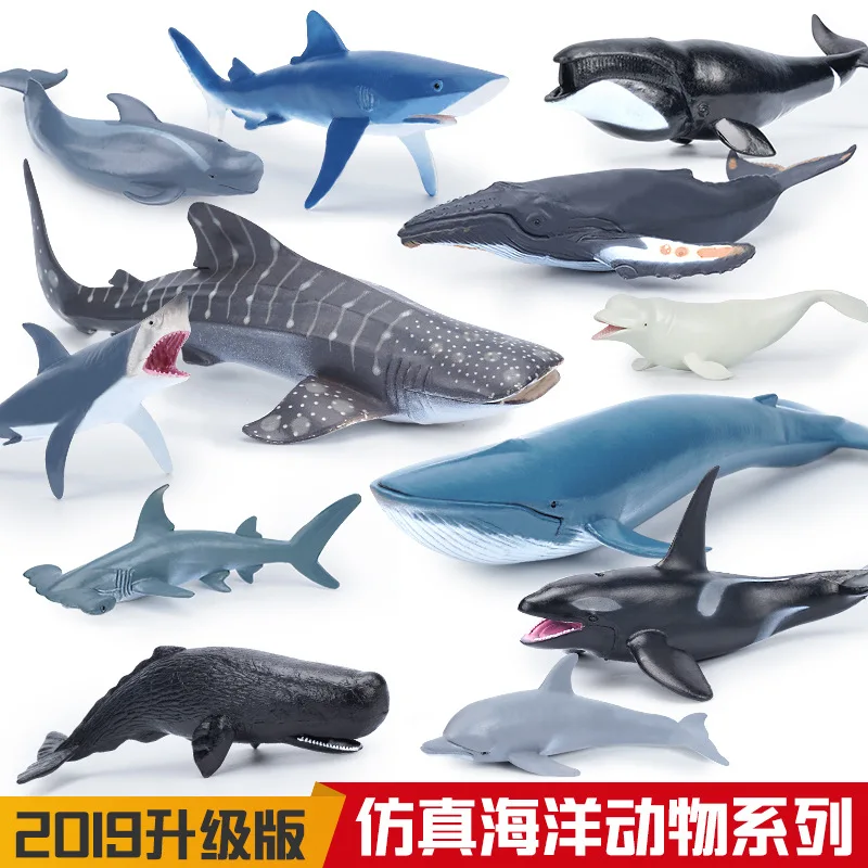 Simulazione di vita marina Modello animale Pilota Squalo Balena beluga gobba Delfino Action Toys Figure Collezione educativa per bambini Regalo