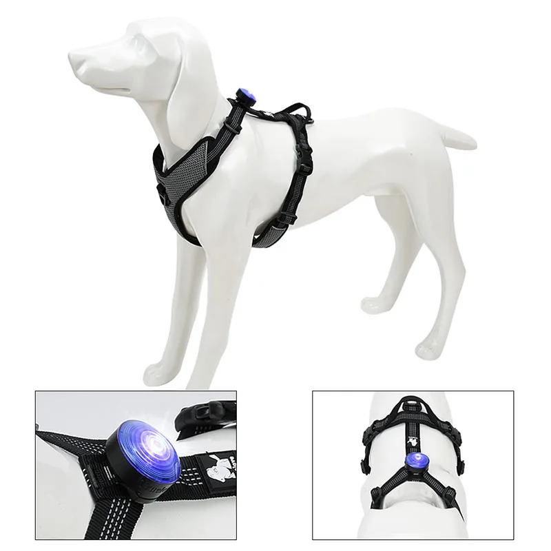 Truelove Haustier Hund Led Licht Lampe Tag Led Hund Kragen Licht Anhänger Glow Nacht Sicherheit Led Hunde Taschenlampe Für Kragen harness Leine