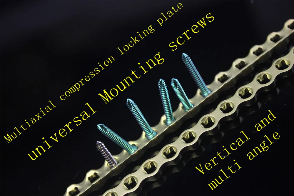 animal orthopaedic instrument medical 6.5 universal Multiaxial compression locking Titanium plate polyaxis 2.4 screw Veterinary