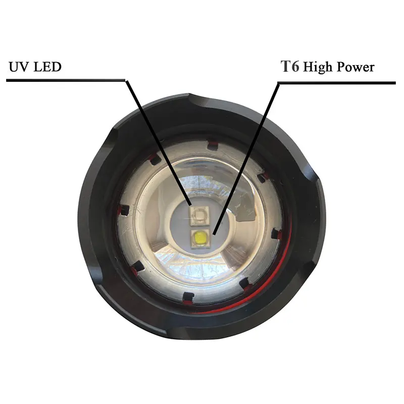 TMWT IPX6 Zoomable Lantern Lamp Powerful 10W & 395Nm UV 5W 2 IN1 LED UV Flashlight For Scorpion Dog Urine Test