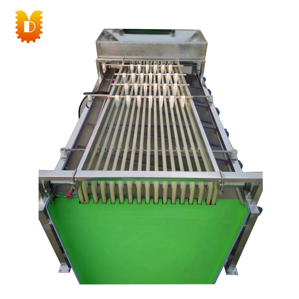 Para a máquina de classificação pequena 50-100 kg/h do tomate que classifica a máquina