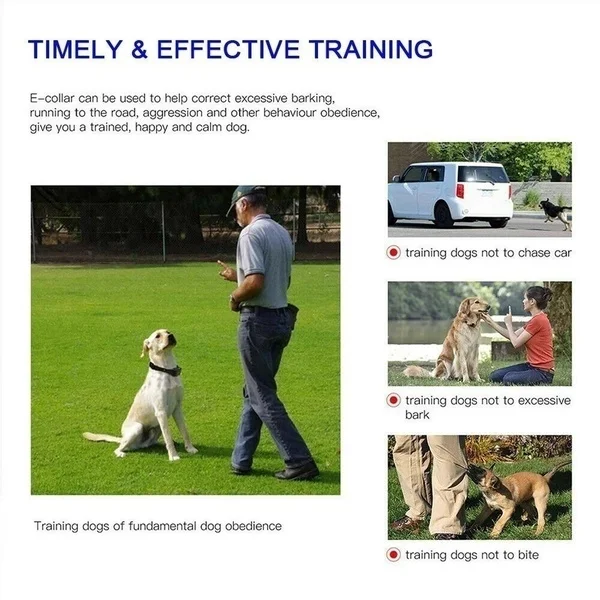 Dog Training Electric Collar 800M Waterproof IP67 Anti Barking Rechargeable LCD with Remote Control Electric Dog Shocker Collar