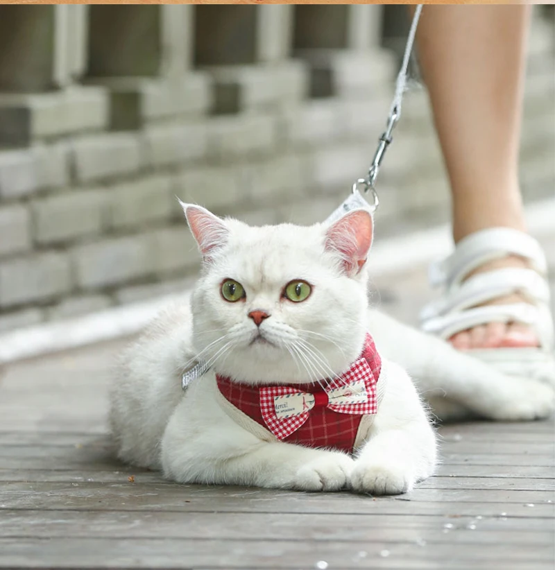 Bowknot Cat Harness and Leash Set Adjustable Puppy Harness Cat Lead Leash Clothes Vest Nylon Mesh Kitten Collar Cat Accessories