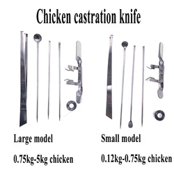 1PCS Stainless Steel Capon Kit Tools Cock Rooster Caponizing Caponize Instrument For Adult Chicken Day Old Chick Poultry Farm