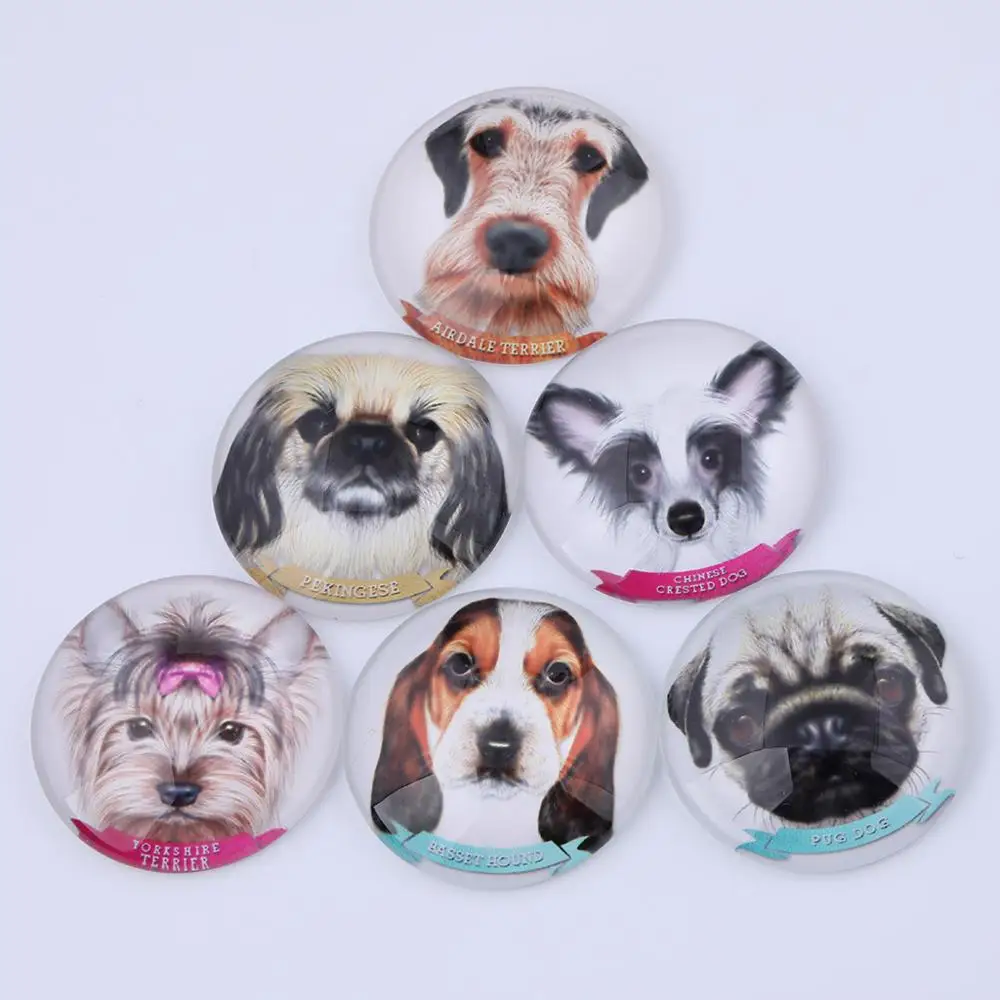 Mixed Dog Head Photo Round scrapbooking Glass Cabochon 20mm 25mm 30mm Diy Handmade Jewelry Findings For Keyring Pendant