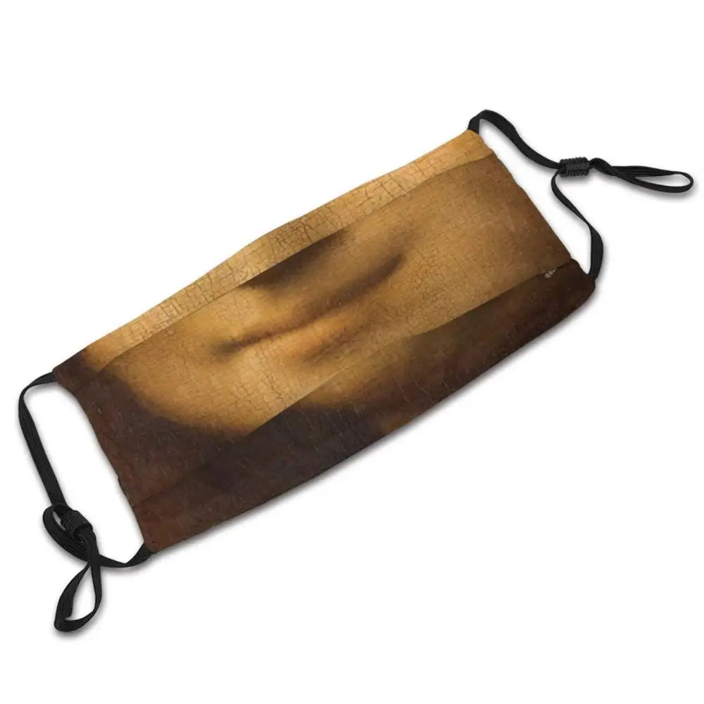 Mona Lisa Smile Custom Pattern Washable Filter Pm2.5 Adult Kids Mask Mona Lisa