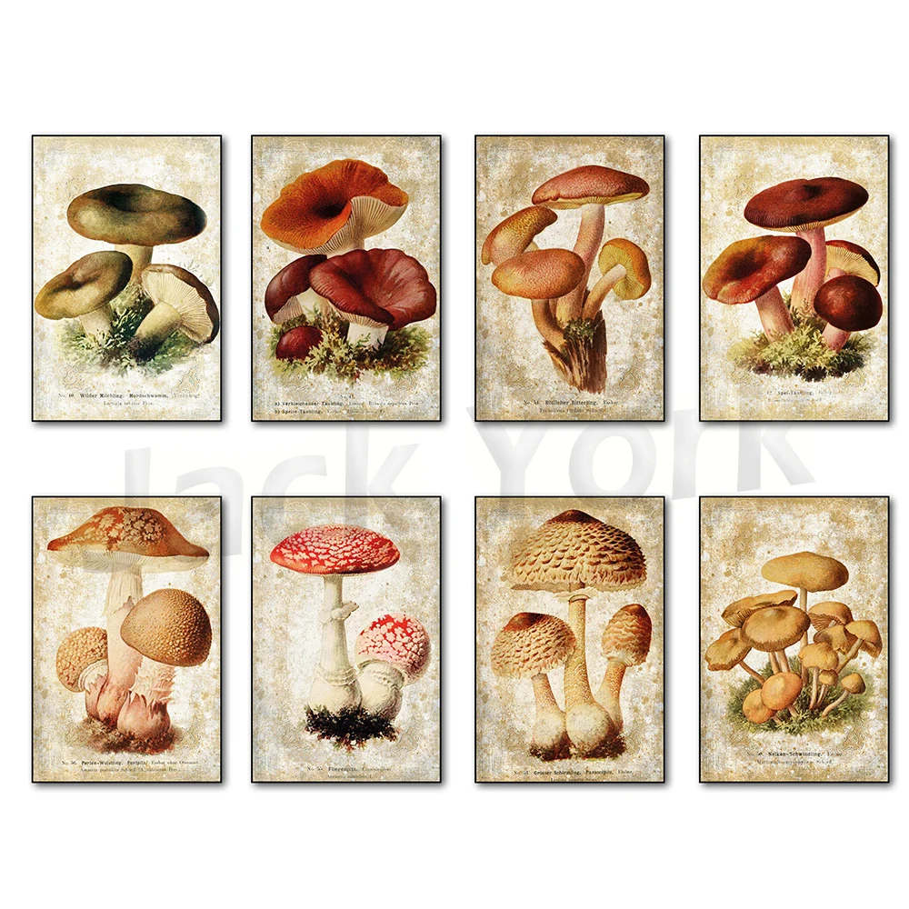 Vintage canvas painting, Victorian mushroom illustration foraging pagan poster printing, wall decoration