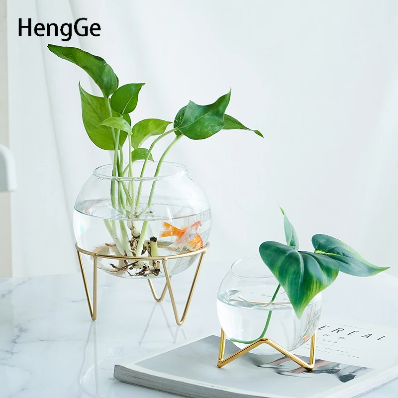 Transparent Glass Vase Simplicity Gilded Iron Art Stent Terrarium Plant Vases Desk Plant Flowerpot Living Room Decoration