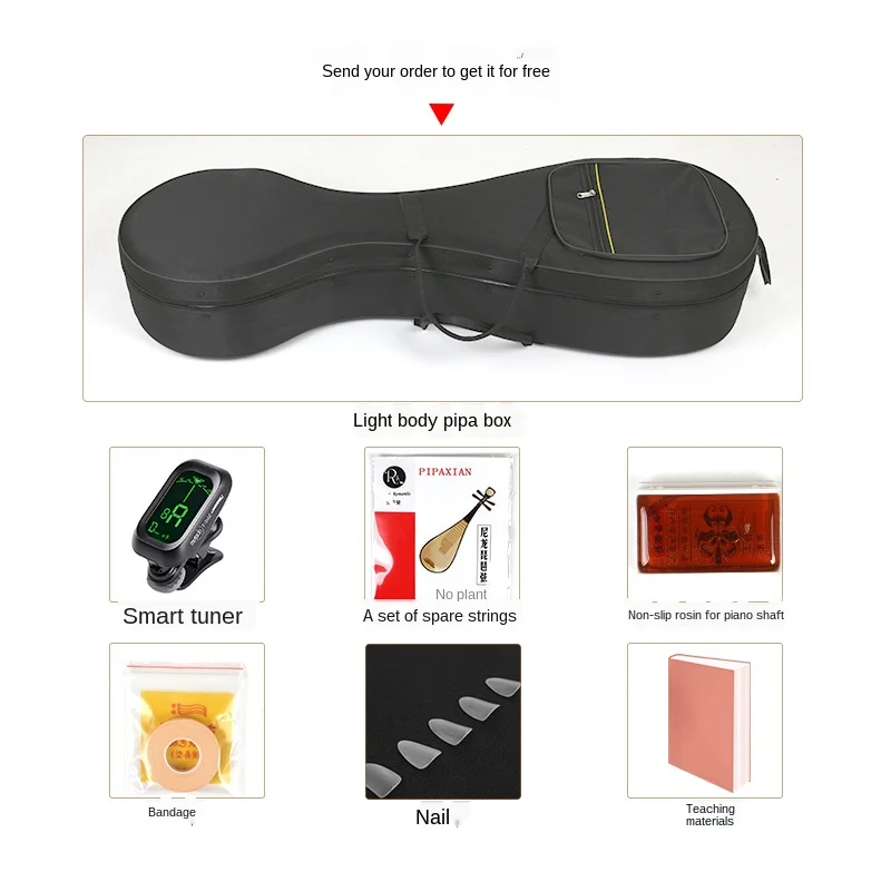 Qin and Han Dynasties Lute Musical Instrument Beginner Entrance Examination