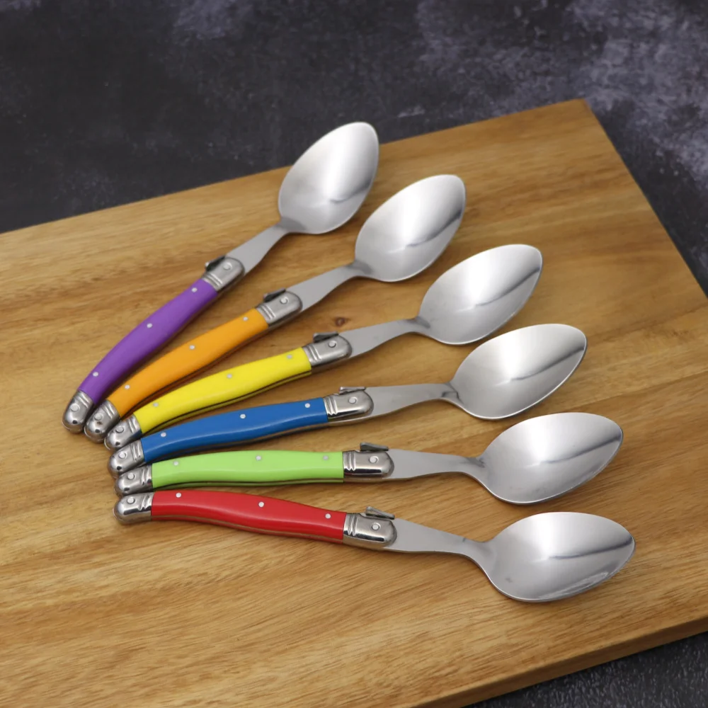 Bild 4: Laguiole 6-teiliges Löffel-Set, Mehrzweck-Löffel-Set mit Kunststoffgriff für Desserts, Edelstahl, westliches Lebensmittelbesteck