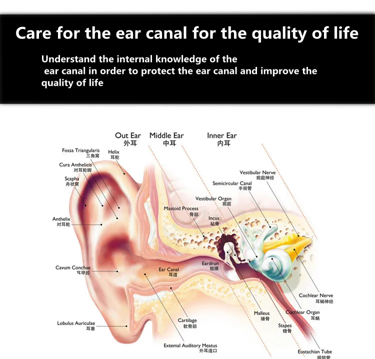 Professional Ear Cleaner Endoscope Medical Otoscope Set LED Bulb Diagnostic Home Travel Physician With 8 Tips for Adult Kid