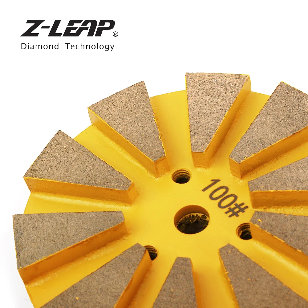 Z-LEAP 4\