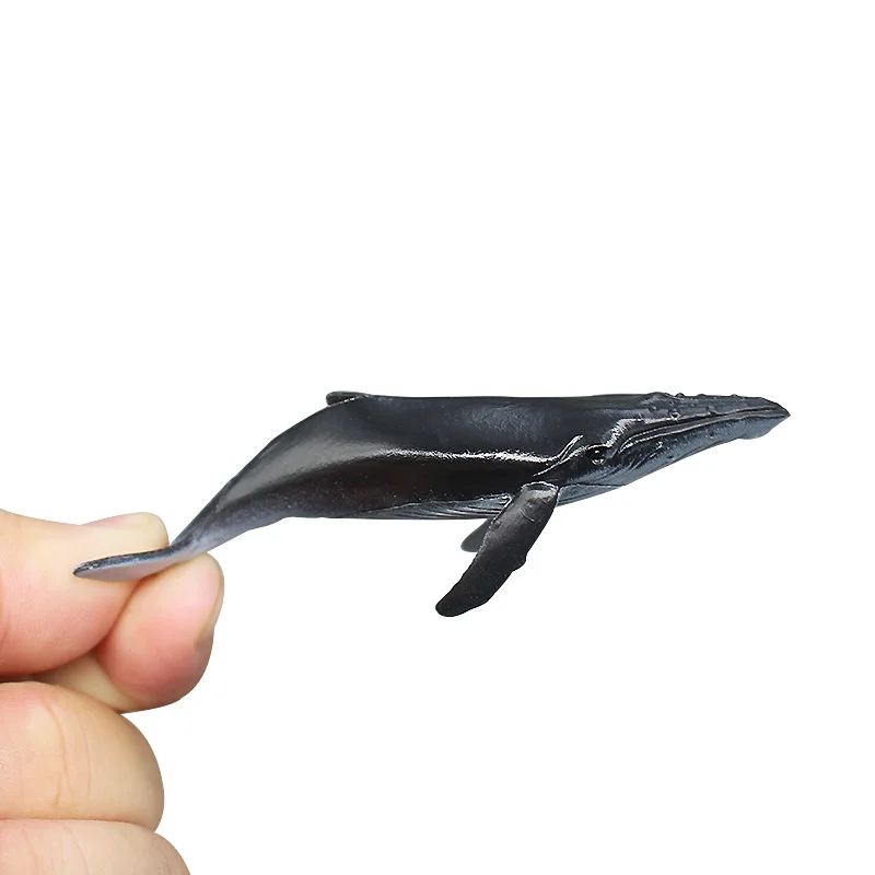Miniature Sea World Fishes Model Great White Shark Blue Whale Dolphin Oceans Animals Figurines Decoration Fish Tank Accessories