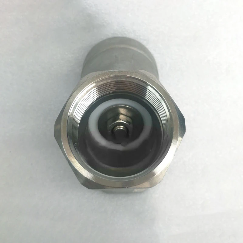 304 316 Stainless Steel Y-type One Way Check Valve 1/2\
